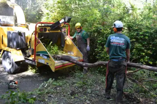 tree services Nampa